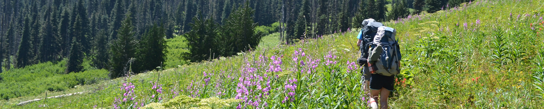 Program on the Environment » Spring 2017 Capstone Symposium
