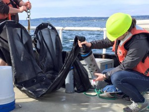 Aboard the UW R/V Barnes vessel in Hood Canal, WA brining in the zooplankton net.
