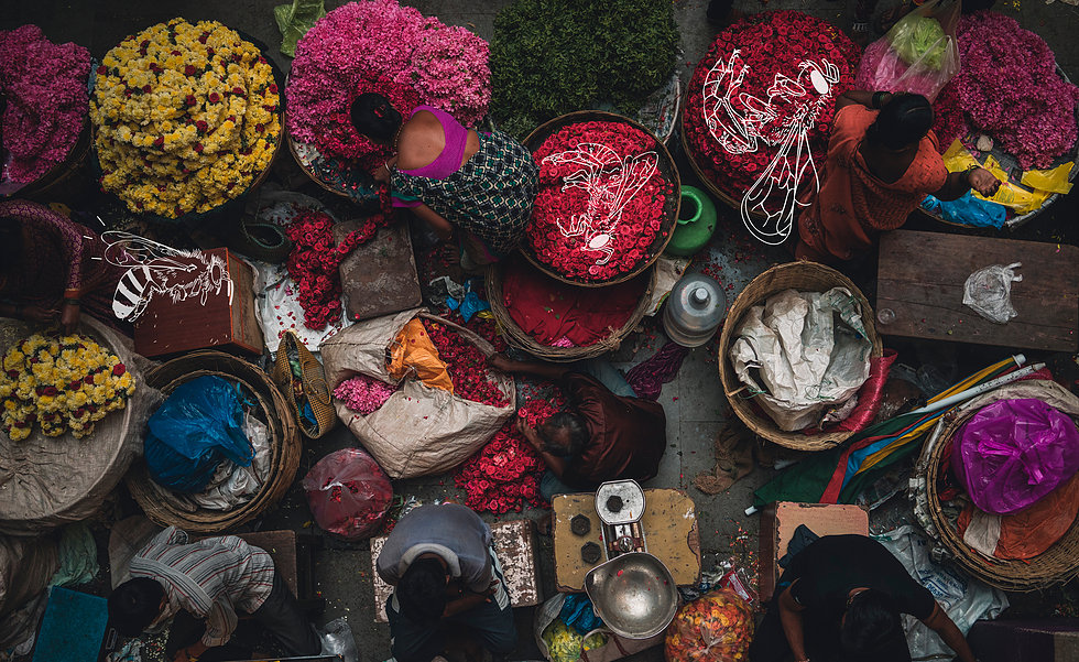 Tyler Ung bloodline art