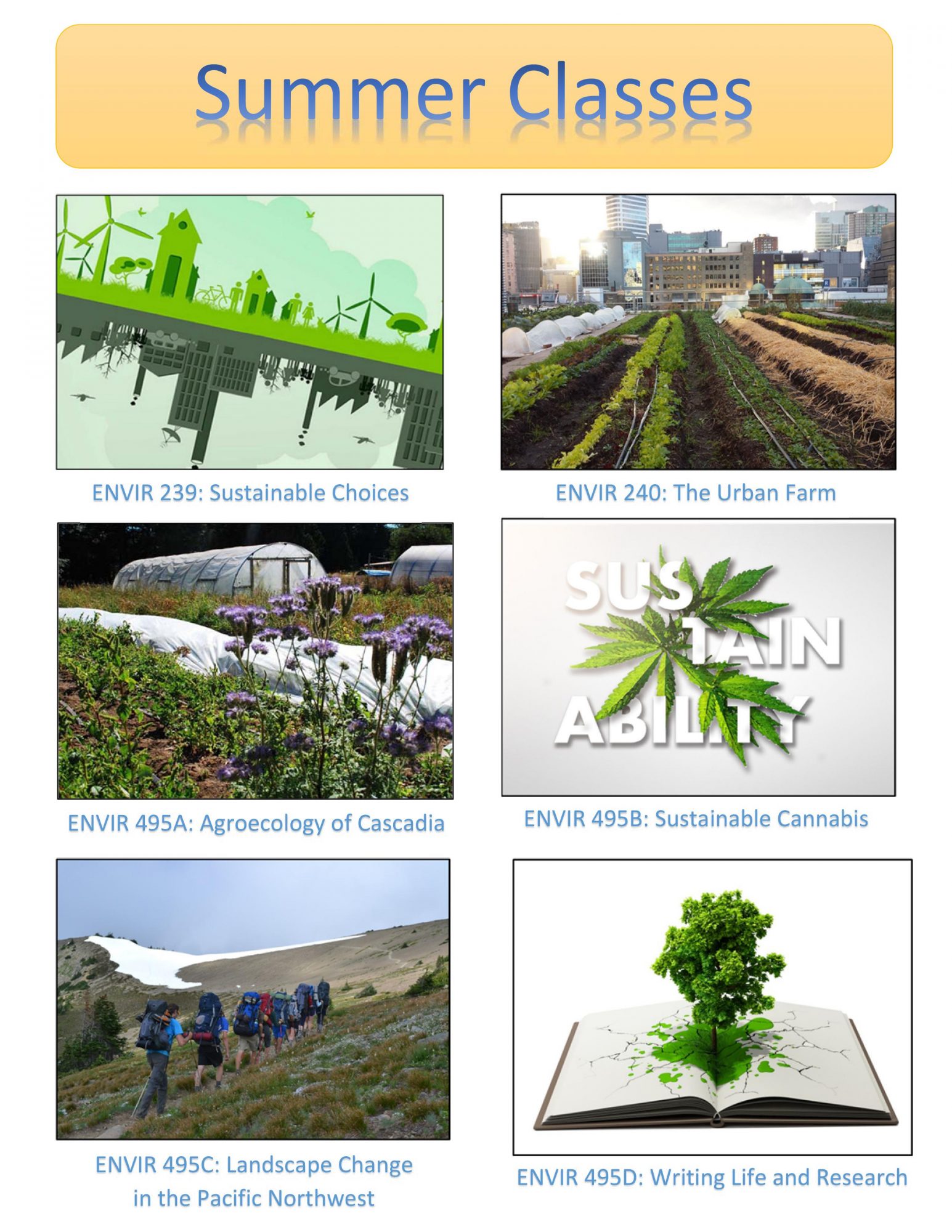 Program on the Environment Environmental Studies at the University of