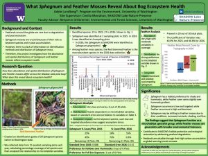 Green poster investigating Sphagnum and feather moss distributions in a peat bog. Methods include vegetation plots and species identification. Results present species frequency charts, abundance tables, and comparisons of microhabitat preferences. The poster concludes that Sphagnum is limited and habitat-sensitive while feather mosses are more broadly distributed, highlighting implications for peatland restoration.