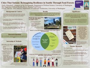 Earth-toned poster exploring opportunities to expand urban food forests in Seattle. Background discusses Indigenous stewardship and urban resilience. Results combine interviews, policy analysis, a Venn diagram of overlapping policy support, and photographs of community projects. Conclusions identify parks, rights-of-way, and stewardship networks as strong foundations for future food forest expansion.