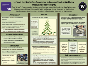 Green poster examining Indigenous student wellbeing through food sovereignty. Background discusses cultural identity and food sovereignty, while results use illustrations, quotations, and photographs to describe identity, community, and Indigenous knowledge. The discussion and next steps recommend investing in Indigenous-led spaces, mentorship, and culturally grounded campus practices.