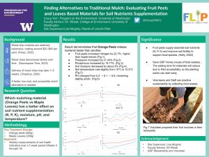 A scientific poster examining whether orange peels or maple leaves have a better impact on soil nutrient quality. This study found that orange peels release nutrients faster and supply essential nutrients like nitrogen, potassium, phosphorus, and more. 